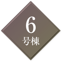 6号地